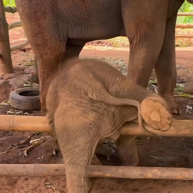  ........sofworld   'recent posts' 