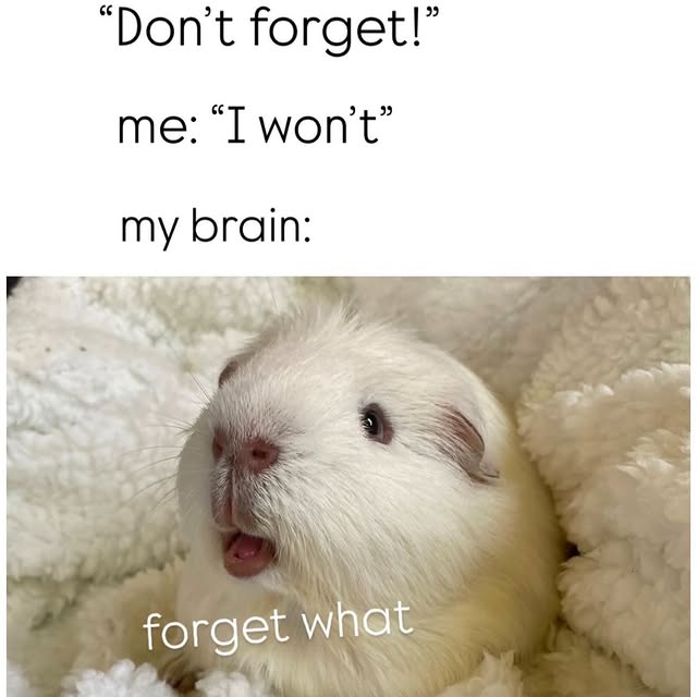  .........edstruggle   'recent posts' 