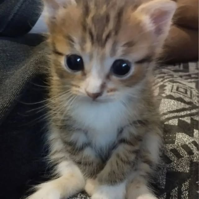  ......nd.kits   'recent posts' 