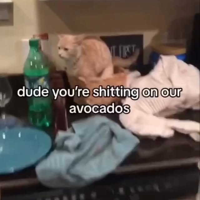  .......sinhome   'recent posts' 