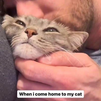  ........_official   'recent posts' 