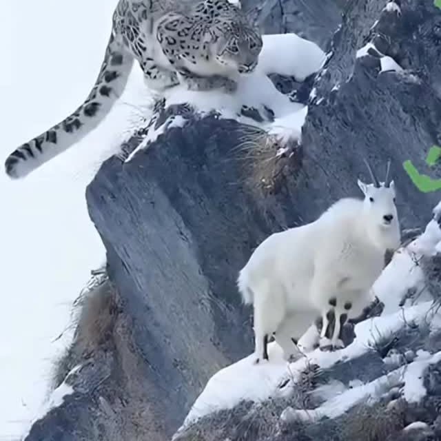  .....nly.ai   'recent posts' 