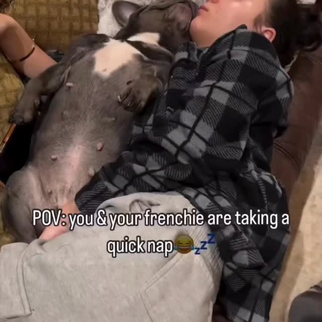  ..........ldogs_only   'recent posts' 