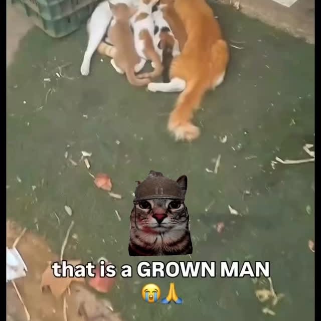  ....eowsy   'recent posts' 