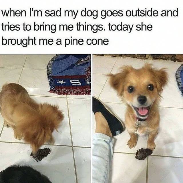  .........nuniverse   'recent posts' 