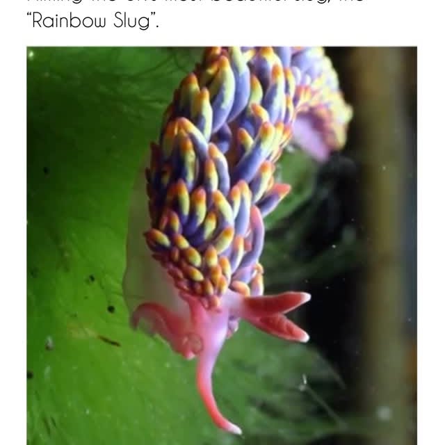  ..........nteresting   'recent posts' 