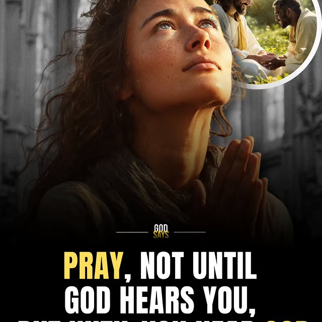  ...sayz   'recent posts' 