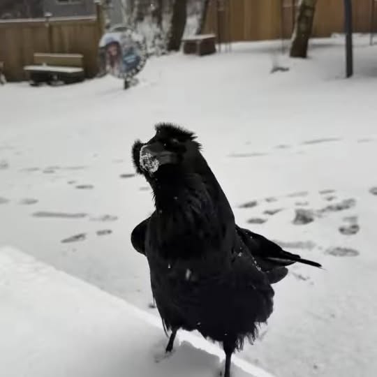  ........vacations   'recent posts' 