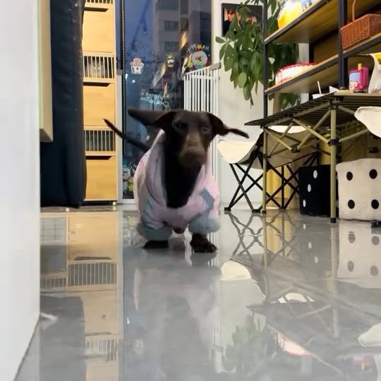  ..........fan.club_   'recent posts' 