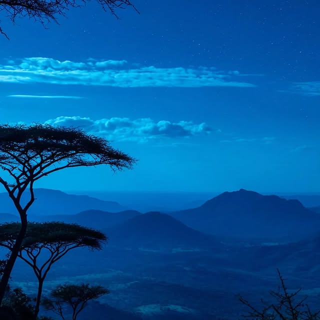  ......dreame   'recent posts' 