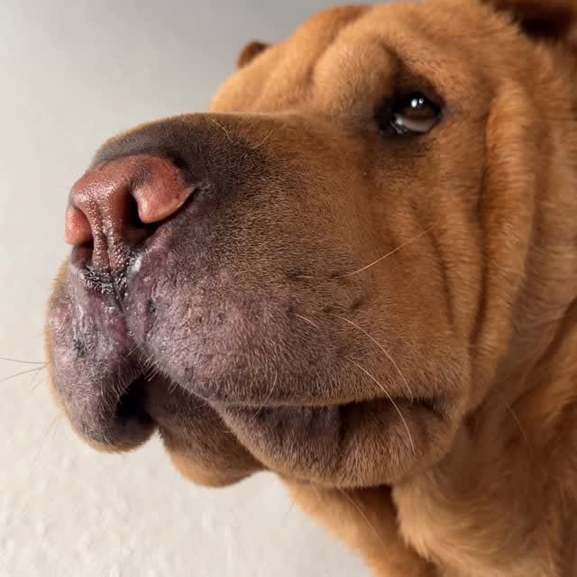  ......i.world   'recent posts' 