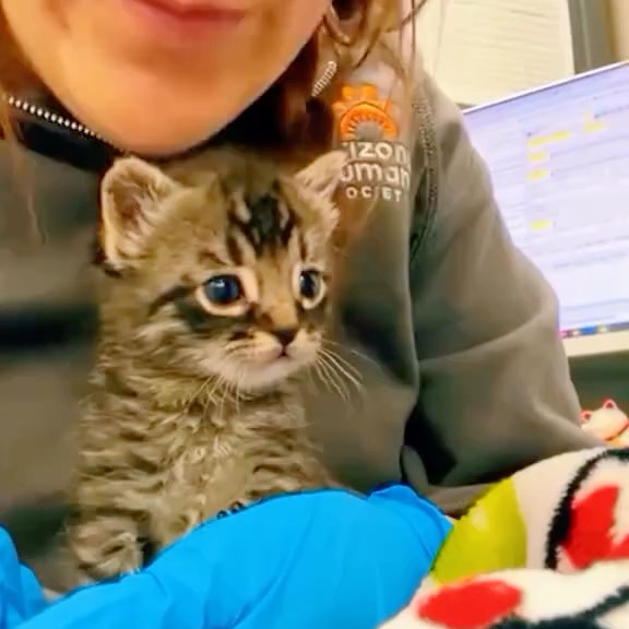  ......atclub   'recent posts' 