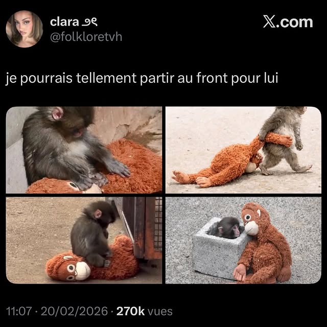  .......ttitude   'recent posts' 