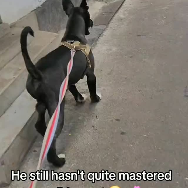  ....ofk9   'recent posts' 