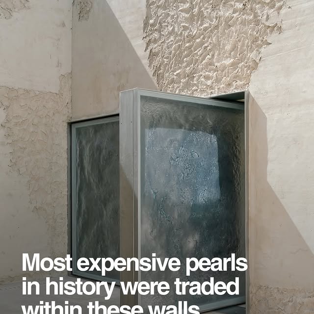  ....dose   'recent posts' 