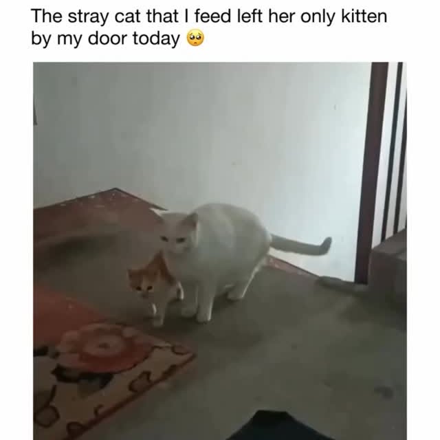  .....sarena   'recent posts' 