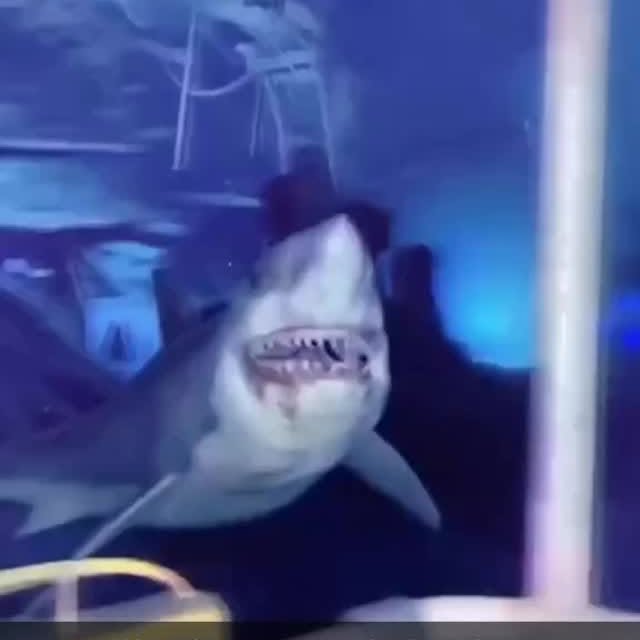  .........arkattacks   'recent posts' 