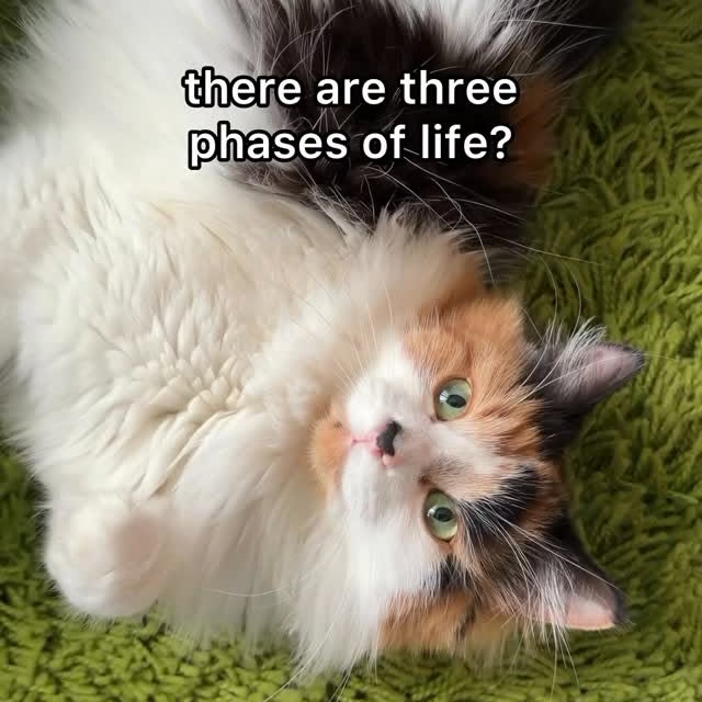  .........tofficial   'recent posts' 