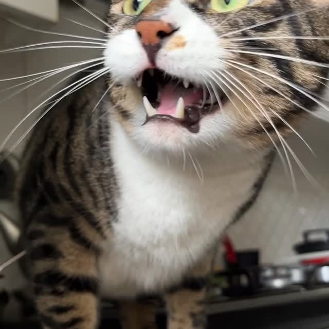  ......kekkek   'recent posts' 