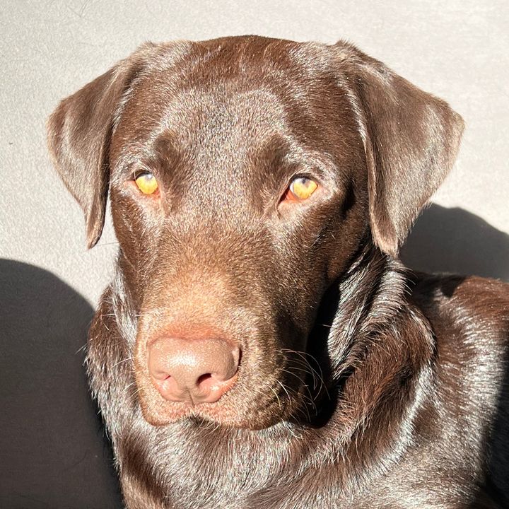 Hire ......ocolab influencer with 32.1k