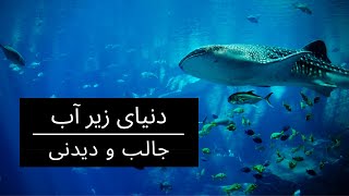  ..... News  'recent videos' 