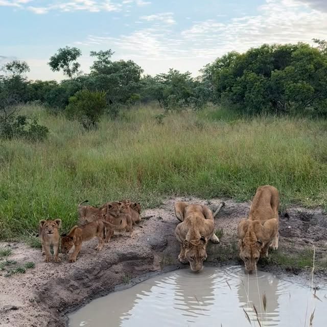  .........._sightings   'recent posts' 