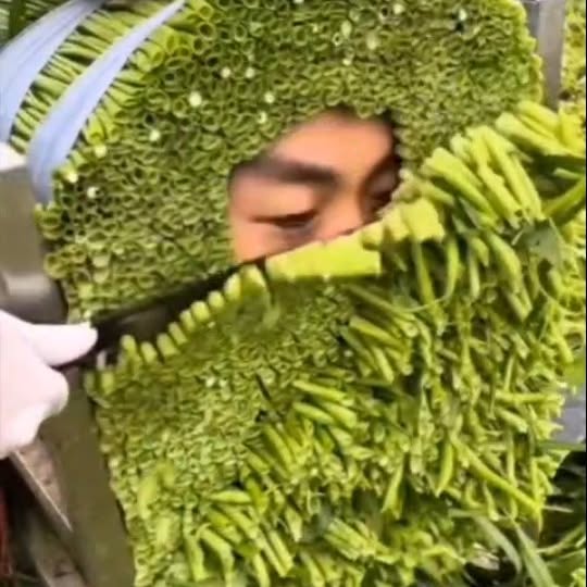  ...earn   'recent posts' 