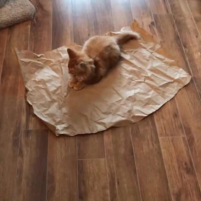  .........tofficial   'recent posts' 