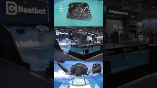  ....Daily  'recent videos' 