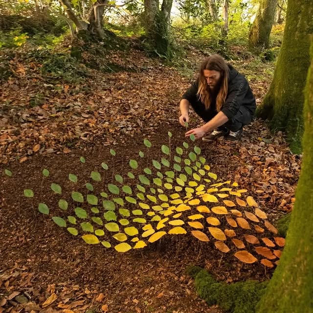  .....ervor   'recent posts' 