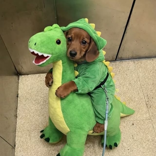  ......rposts   'recent posts' 