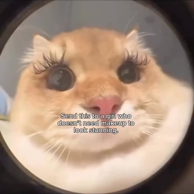  .......world.in   'recent posts' 