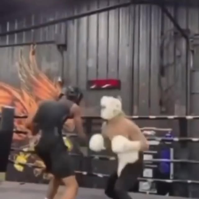  ..........gknockouts   'recent posts' 