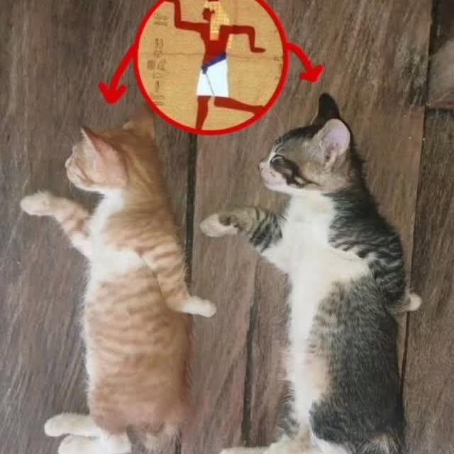  ....eowsy   'recent posts' 