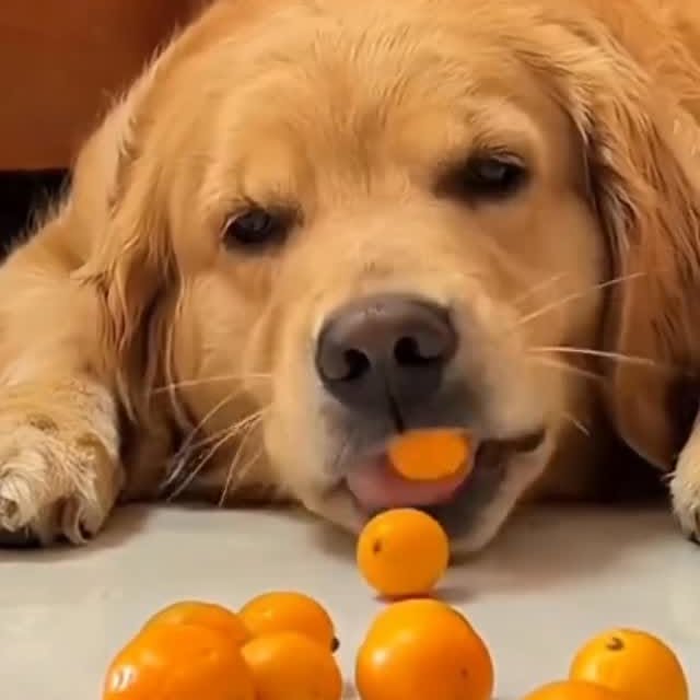  ......orable   'recent posts' 