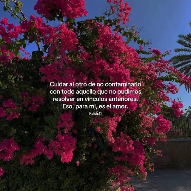  ......oencafe   'recent posts' 