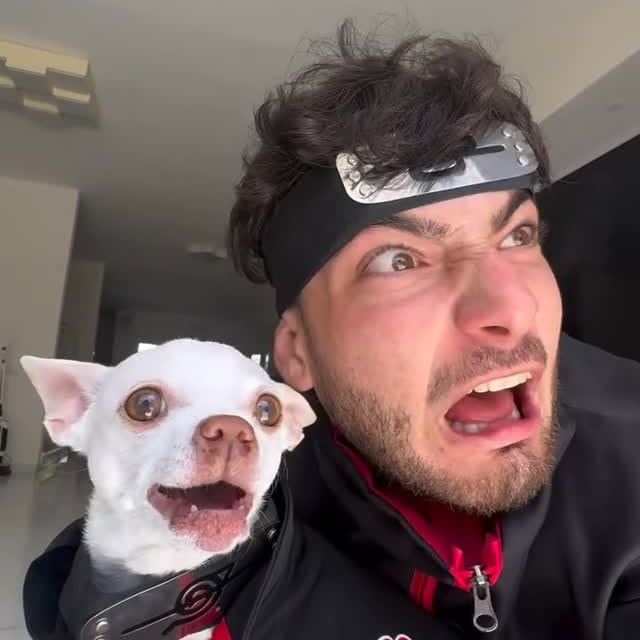  ......ogscute   'recent posts' 