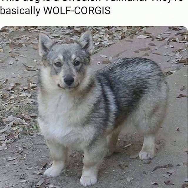  .......ndrulzz   'recent posts' 