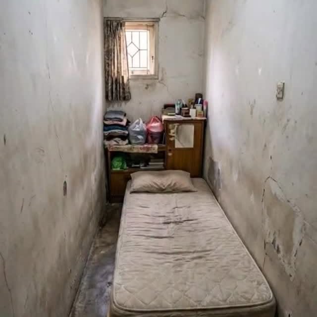  .......sdecors   'recent posts' 