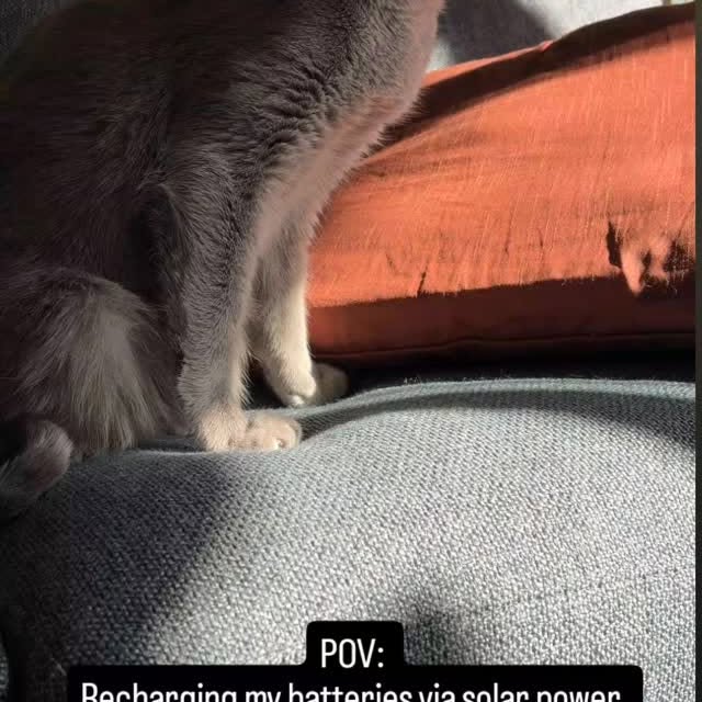  ......n_boris   'recent posts' 