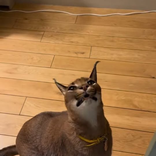  ..........discoverer   'recent posts' 