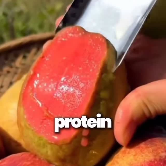  ......odyfast   'recent posts' 