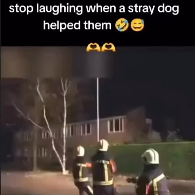  ......estige   'recent posts' 