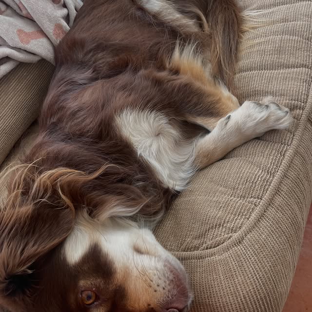  .....og2020   'recent posts' 