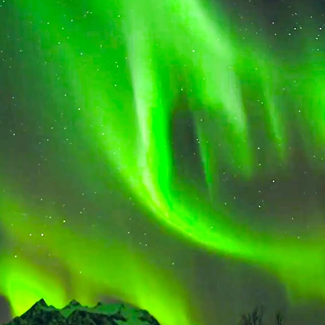  .........elsfaster   'recent posts' 