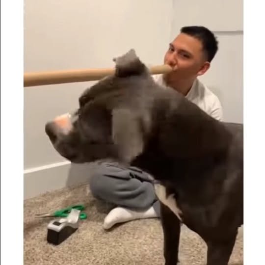  .....ibess   'recent posts' 