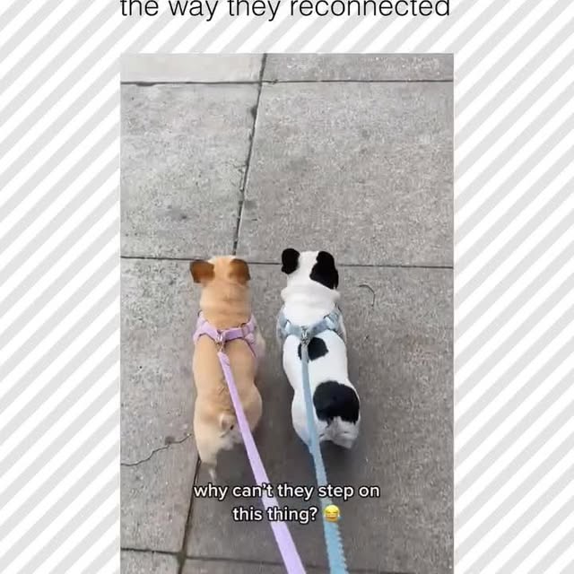  ......rposts   'recent posts' 