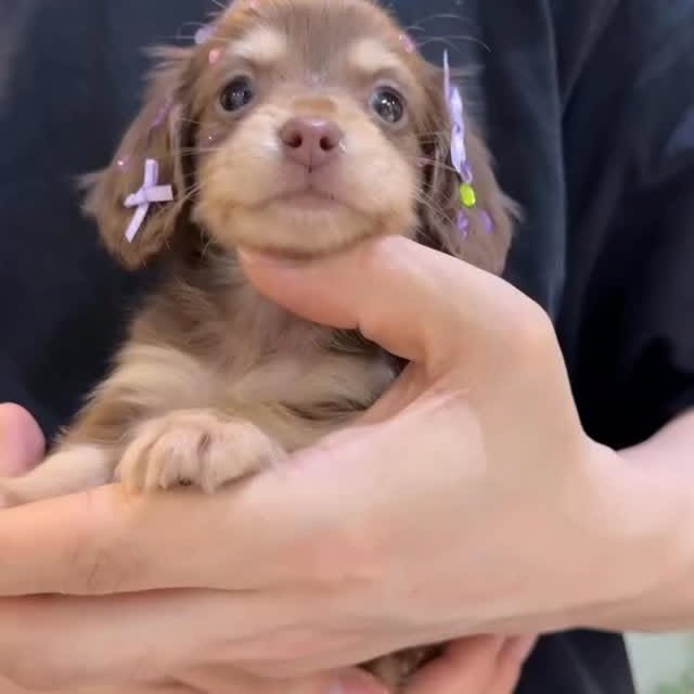  ..........fan.club_   'recent posts' 