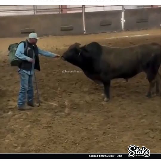  ......liimits   'recent posts' 