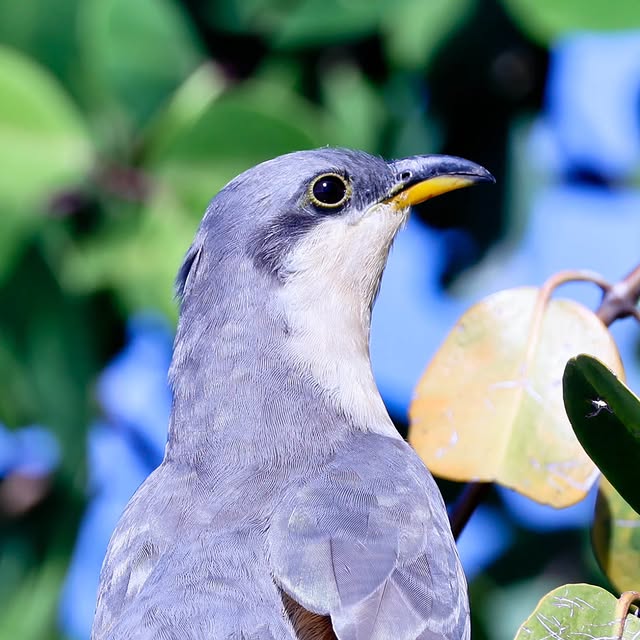  .....yland   'recent posts' 